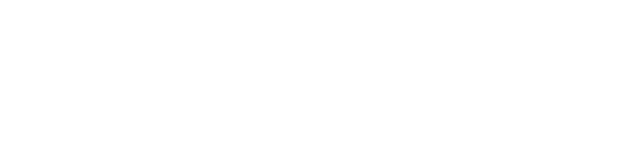 SEVEN SEAS Agency